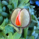 Image for article titled Shooting Challenge: Spring Gallery 2